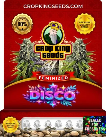 Disco Strain