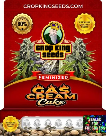 Gas Cream Cake Strain