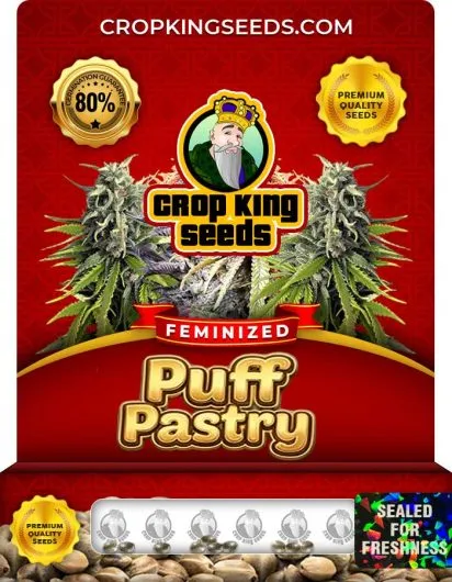 Puff Pastry Strain