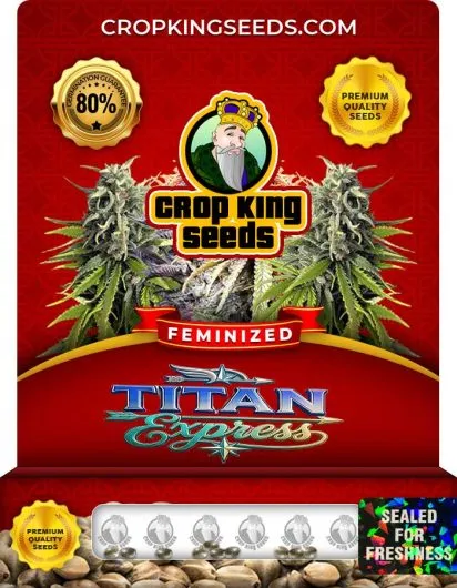 Titan Express Strain