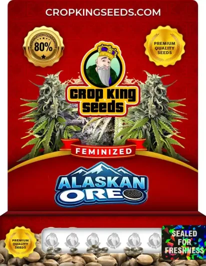 Alaskan Oreo Strain