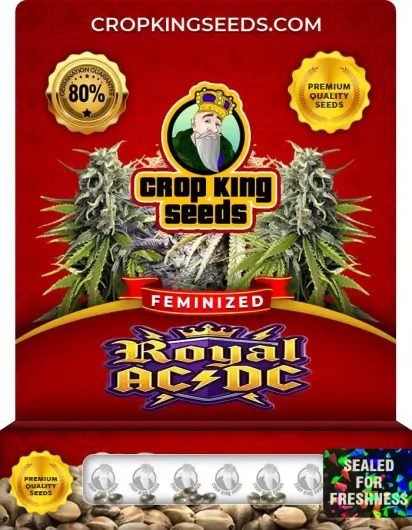 Royal ACDC Strain