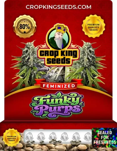 Funky Purps Strain