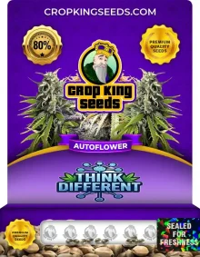 Think Different Autoflower