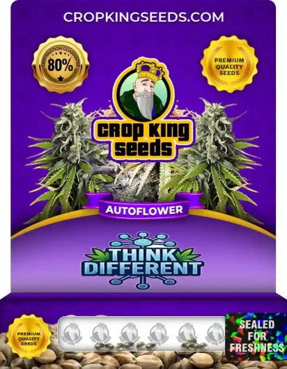 Think Different Autoflower